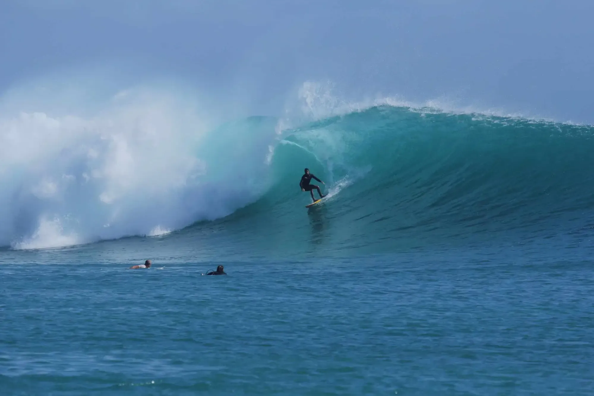 Seed Resort - Experience