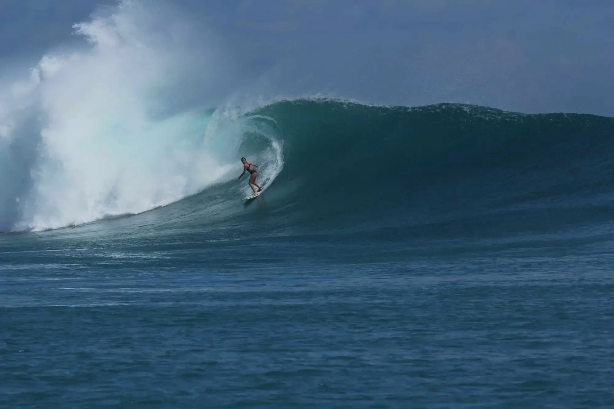 Seed Resort - Experience