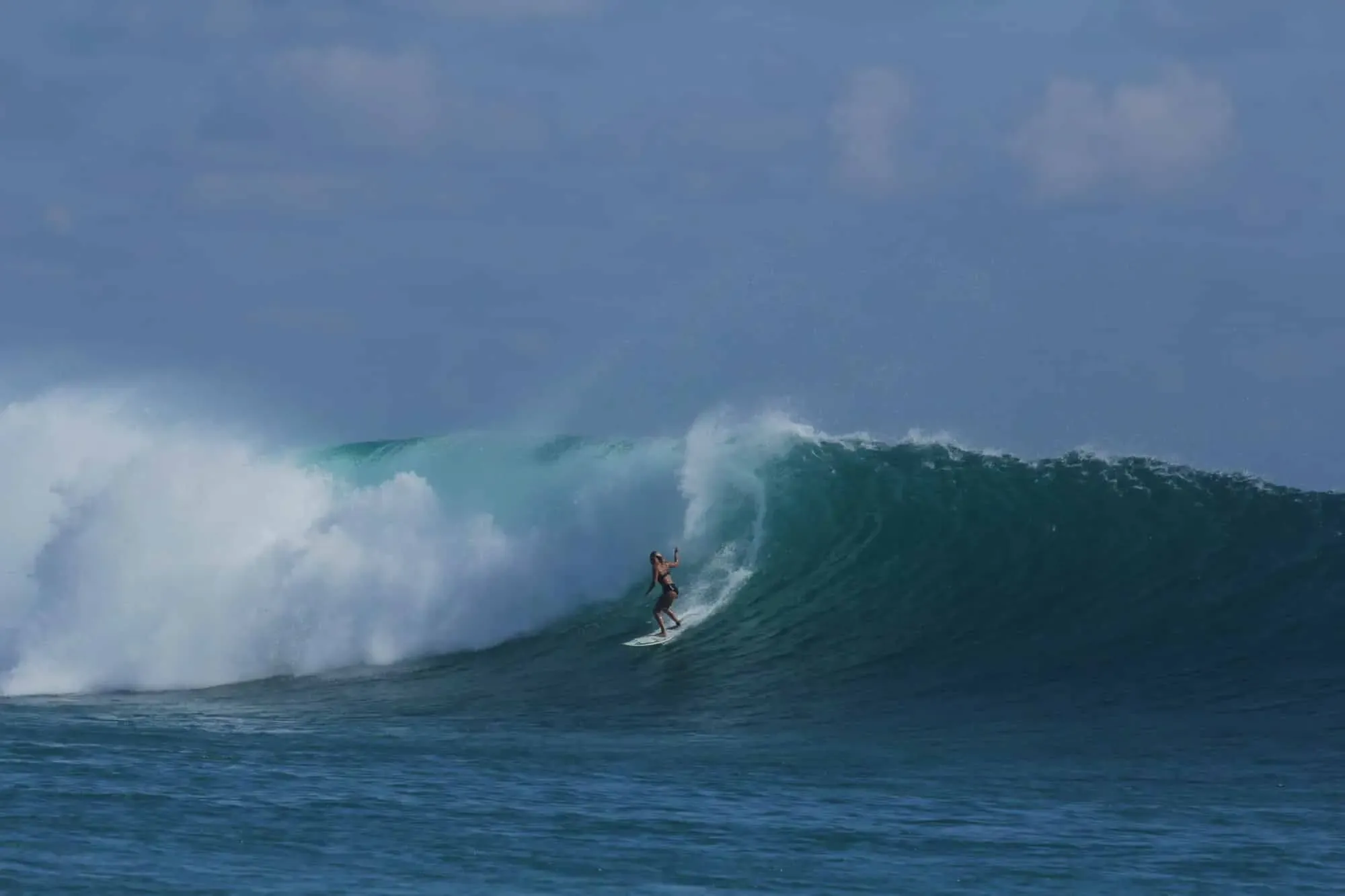 Seed Resort - Experience