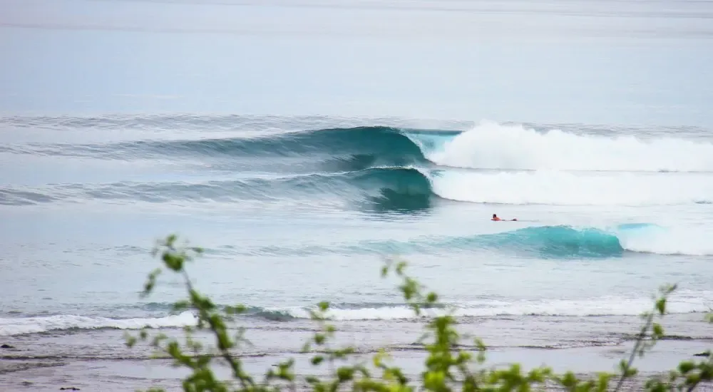 World Surfaris - Seed Resort Rote