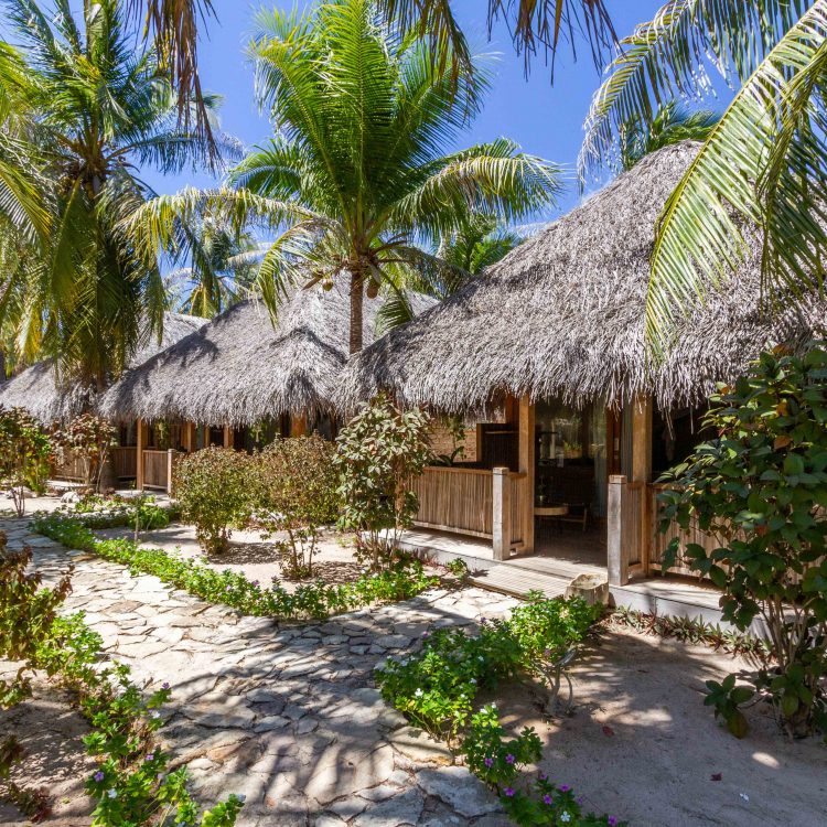 SEED RESORT ROTE ISLAND - luxury hotel / bungalow / surf / yoga